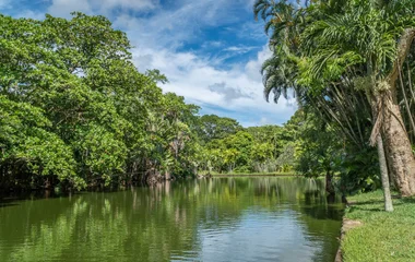 Patrimoine mauricien