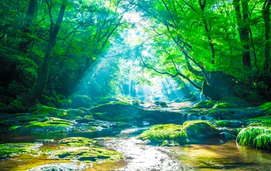 Le climat en juillet au Japon