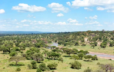 safari en afrique