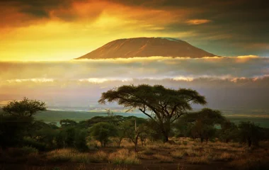 circuits en afrique