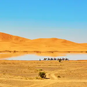 Les meilleures destinations en Afrique