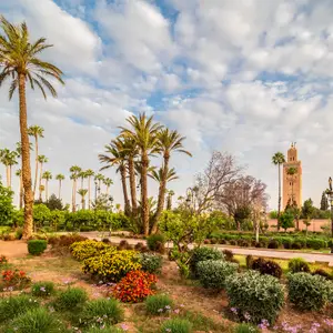 Marrakech en janvier