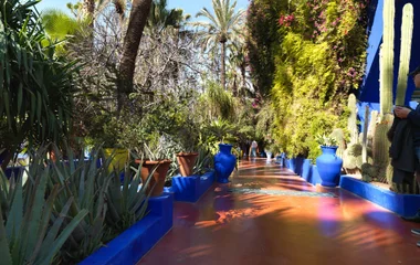 Le jardin Majorelle de Marrakech : le plus beau des voyages