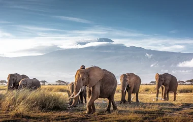 Kenya