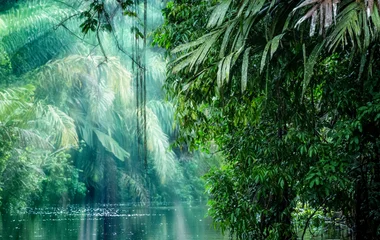 Connaissez-vous le Costa Rica en hiver