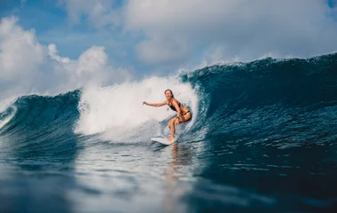Observer la nature sauvage à Playa Bluff