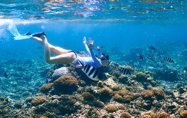 Quelles sont les plages idéales pour les amateurs de snorkeling