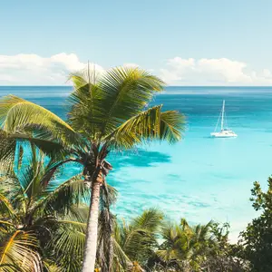Les plages aux Seychelles