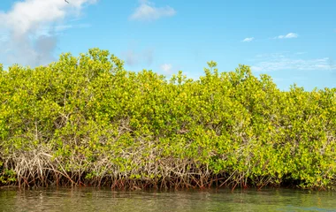 îles Galápagos