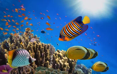 S’évader des plages de Marsa Alam en automne