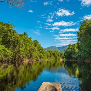 Quand partir en Amazonie ?