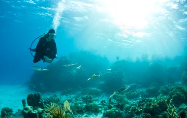 Voyage en Honduras : quand partir pour faire de la plongée ?