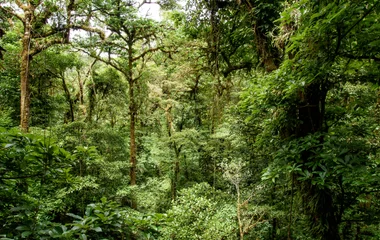 Voyage en Honduras : quand partir pour profiter de la nature ?
