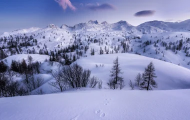 hiver en slovénie