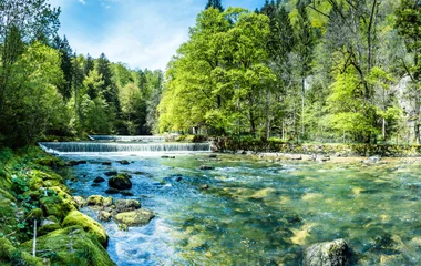 Suisse