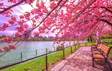 tokyo japon