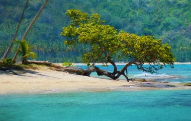 Les plages de la République dominicaine