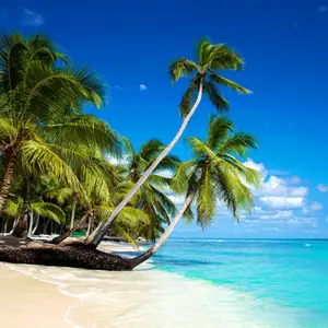 Voyage en Republique Dominicaine en octobre