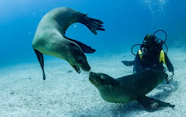 îles Galapagos