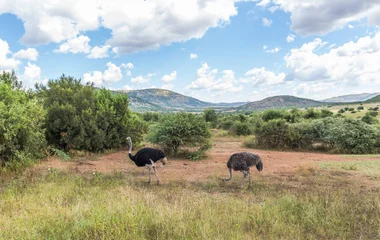 Afrique du Sud