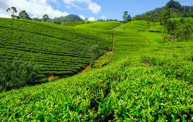 sri lanka
