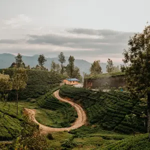 Voyage au Sri Lanka en mai