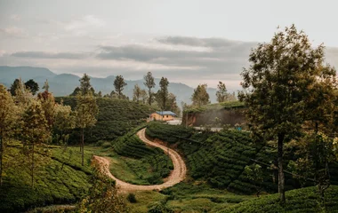 sri lanka paysage