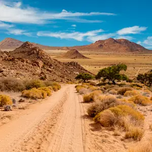 Nos safaris d'exception en Namibie