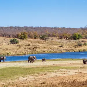 Top destinations Afrique