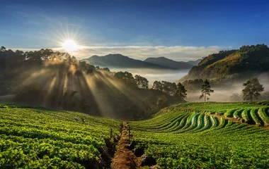 Thaïlande