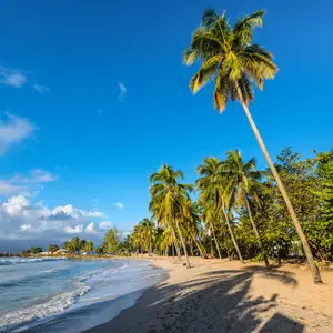Voyage de dernière minute en Guadeloupe