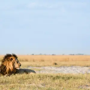 botswana