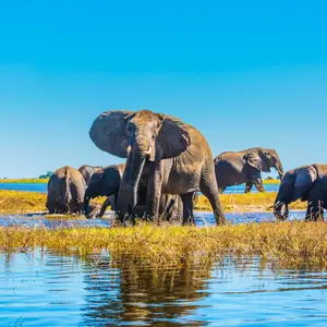 Que faire au Botswana ?