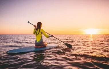 Paddle