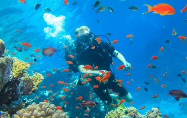 spot de plongée bouteille au parc national Ras Mohammed en Égypte