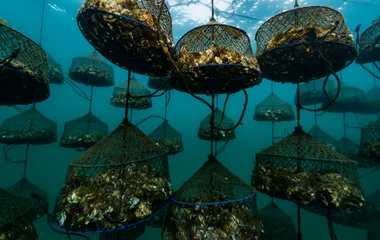 Parc naturel de Port-Cros
