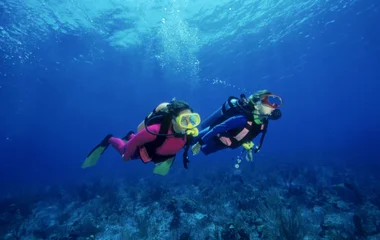Deux personnes en train de plonger