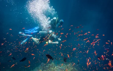 Safari plongée à Bali: à la découverte du monde sous-marin