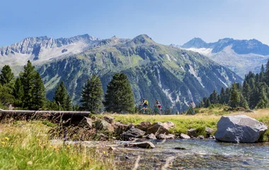 La montagne en été autour de Valmorel