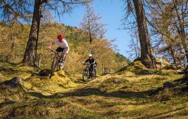 VTT