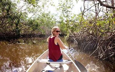Les mangroves des Everglades en Floride