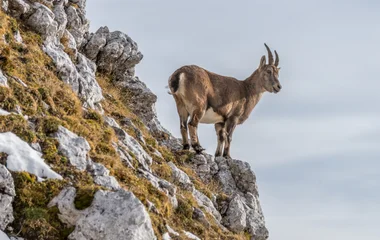 Le parc naturel du Grand Bosco