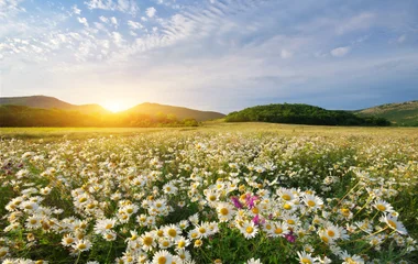 Où partir au printemps