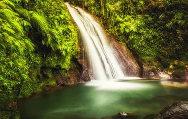 Quel est le climat de la Martinique