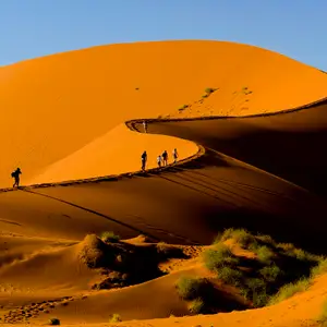 Quand partir en Namibie ?