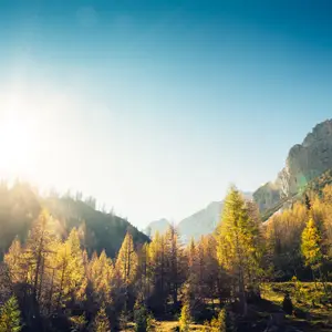 L'accrobranche à Meribel