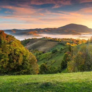 Que faire en automne ?