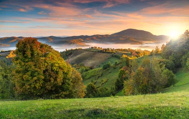 QUE FAIRE EN AUTOMNE ?