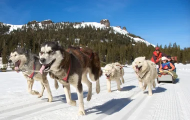 hundeschlitten in val thorens