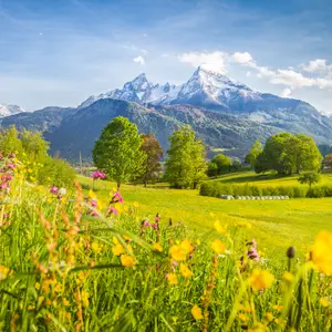 Quelle destination pour un été à la montagne en famille